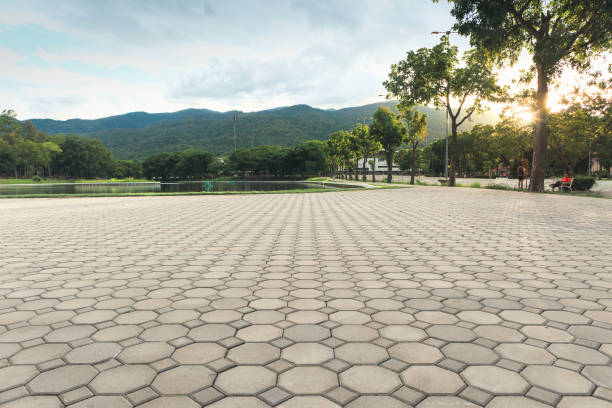 Best Best Driveway Pavers  in Waverly, TN
