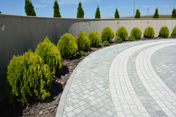 Best Concrete Paver Driveway  in Waverly, TN